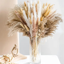 Buquê de Pampas Secas Naturais | Canto Decor